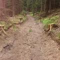 rennsteig_127