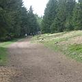 rennsteig_129