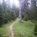 walchensee_050