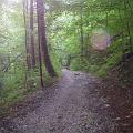 walchensee_125