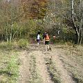 Albmarathon_027