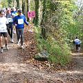 Albmarathon_030