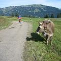 allgaeu_36