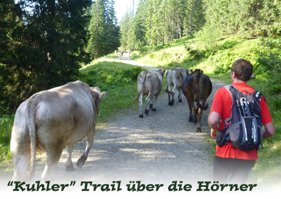 "Kuhler" Trail über die Hörner