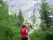 Trail durch Latschenkiefern