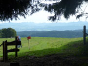 Alpenpanorama