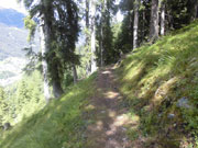 Abschluss-Trail