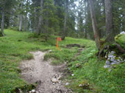 Noch 10 km