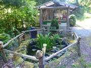 Hütte im Odenwald