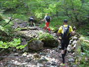 Aufstieg im Stuibenwald