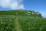 Gipfel Chasseron