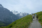 Blick auf's Schreckhorn