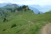 Panoramatrail zur Schynige Platte