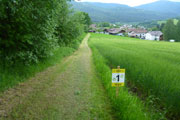 Letzter Kilometer