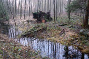 Das Rote Moor