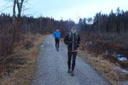 Wanderweg durch das Moor