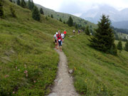 Herrliches Trailrevier